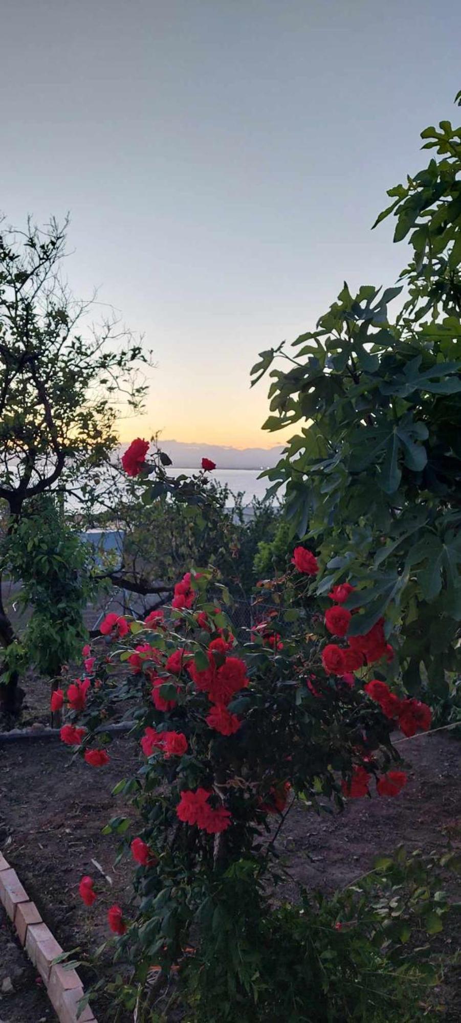 Panorama Studio Kalamata Esterno foto